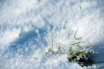 A view of a surface natural white background with dry grass in snow