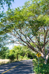 Fototapeta premium paisaje