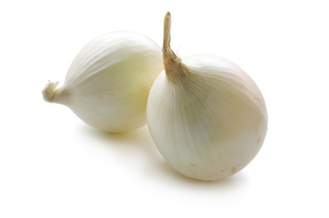 White onion bulbs isolated on white background © spline_x