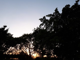 Fototapeta premium el cielo es el liminte 