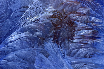 frosty pattern on the window draws winter flower