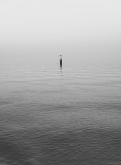 Fototapeta na wymiar single buoy on a calm ocean