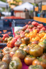 Luscious artisanal heirloom tomatoes at fall farmer's market