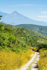 Fototapeta premium paisaje rural
