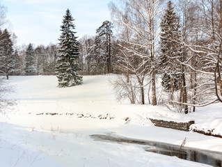 View of the river and the shore. Landscape in a winter natural park.