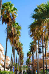 houses with palms nearby on Tenerife, one of the canary islands