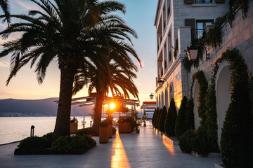 Fototapeta premium Sunset palm on seafront above the sea and building in Montenegro