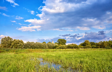 Marshy meadow with clouds in the background.
