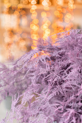 dry asparagus fern of pink color. Used in floral design for decoration of arrangements and bouquets. Garland bokeh on background. Wallpaper