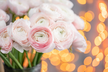 Persian buttercup. Bunch pale pink ranunculus flowers in Glass vase. Garland bokeh on background. Horizontal Wallpaper