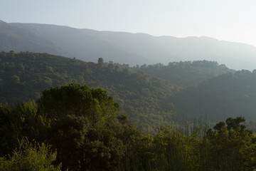 foggy sunrise in the mountains