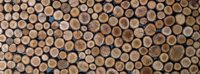 Stacked wood logs as texture, background, panorama