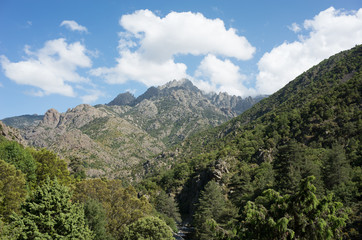 Obraz premium view of mountains