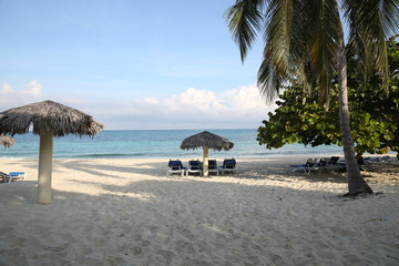 tropical beach with palm trees, sun beds and umbrellas on the white sandy beach and with space for...