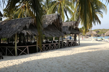 hut and palm tree on the tropical beach