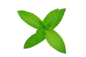 Naklejka na ściany i meble fresh mint leaves isolated on white background