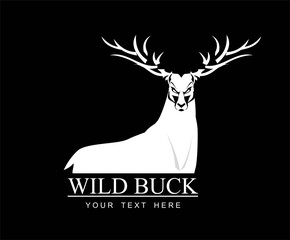 big wild buck with the beautiful horn, wild stag with the  long horn