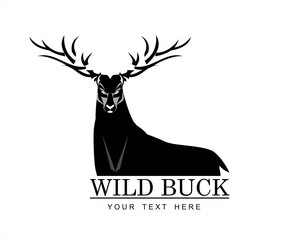 Wild Black Buck 