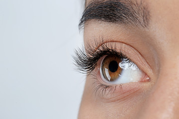 Young woman with beautiful eyelashes on gray background, closeup view