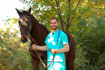 Veterinarian in uniform with beautiful brown horse outdoors