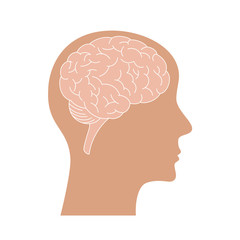Brain vector icon