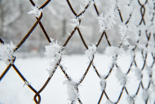 Frost on the metal fence 