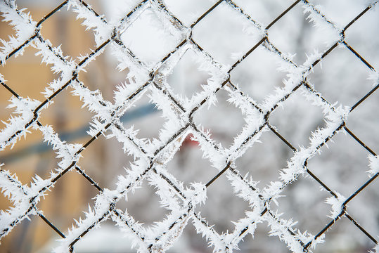 Frost on the metal fence 
