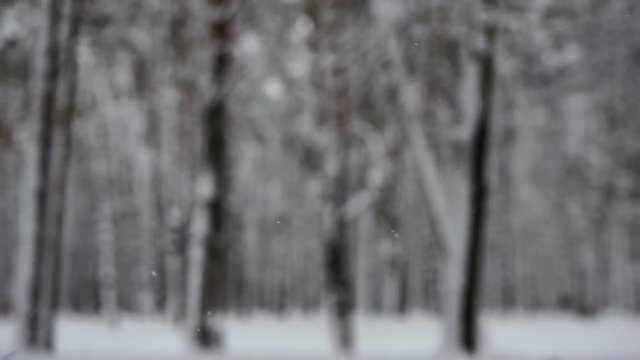 Christmas crackers. Hand blows up a flapper