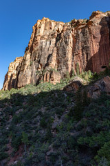 Panorama nello Zion National Park
