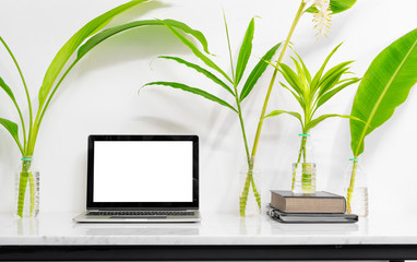 Mock up laptop with supplies and plant on marble desk table.