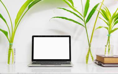 Mock up laptop with supplies and plant on marble desk table.