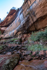 Panorama nello Zion National Park