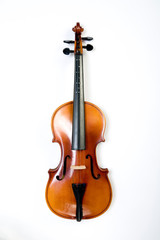 Fototapeta na wymiar Violin on a white background.