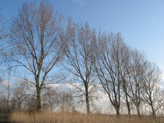 Dänemark und Ostern 2004