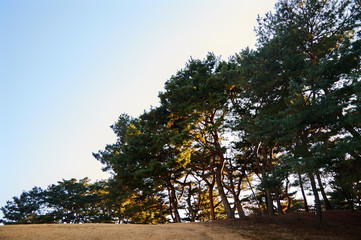 Uireung Royal Tombs of the Joseon Dynasty located in Seoul, Korea.