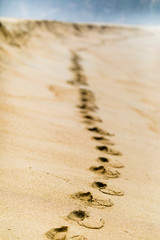 Footprints over the beach sand going to the infinity creating shadows step by step trying to catch the infinite horizon at Tunquen Beach an amazing nature landscape in Valparaiso Region, Chile