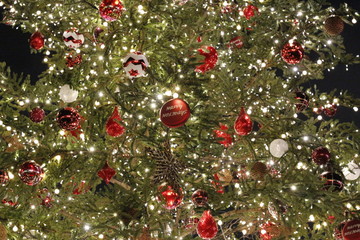 クリスマスツリー