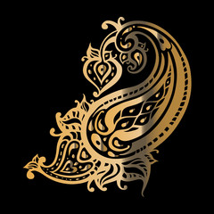 Paisley. Ethnic ornament. Vector illustration isolated. Hand Drawn old fashioned pattern