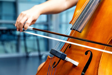 Close up of cello with bow in hands - obrazy, fototapety, plakaty