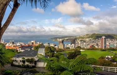 Panoramic view of Wellington, New Zealand.