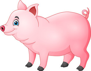 Cute pig cartoon