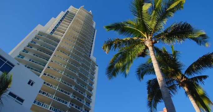 miamibeach palms9