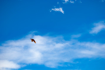 Fotografiando las montañas, los azules y la grandeza de Mendoza.