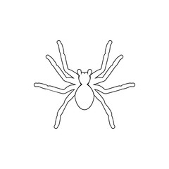 spider tarantula icon. Element of insect for mobile concept and web apps icon. Thin line icon for website design and development, app development