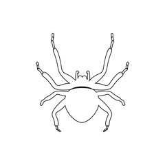 spider icon. Element of insect for mobile concept and web apps icon. Thin line icon for website design and development, app development