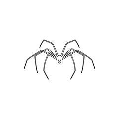 long-legged spider icon. Element of insect for mobile concept and web apps icon. Thin line icon for website design and development, app development