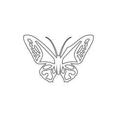 butterfly icon. Element of insect for mobile concept and web apps icon. Thin line icon for website design and development, app development