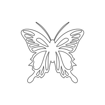 butterfly tail icon. Element of insect for mobile concept and web apps icon. Thin line icon for website design and development, app development