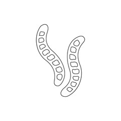 caterpillars icon. Element of insect for mobile concept and web apps icon. Thin line icon for website design and development, app development