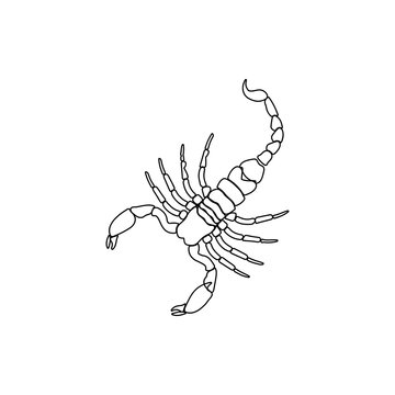 Scorpion icon. Element of insect for mobile concept and web apps icon. Thin line icon for website design and development, app development